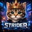 STRIDER